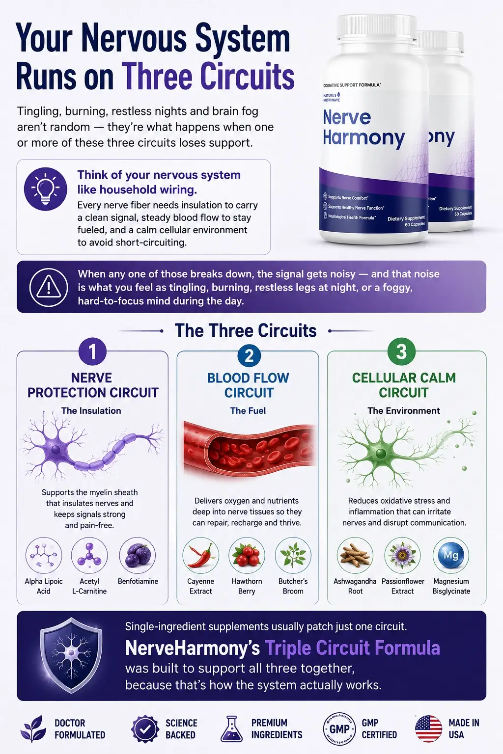 5 Botanicals, One Daily Routine